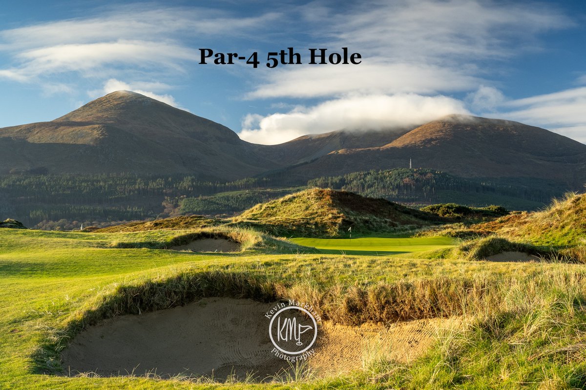 Kevin Markham tweet media