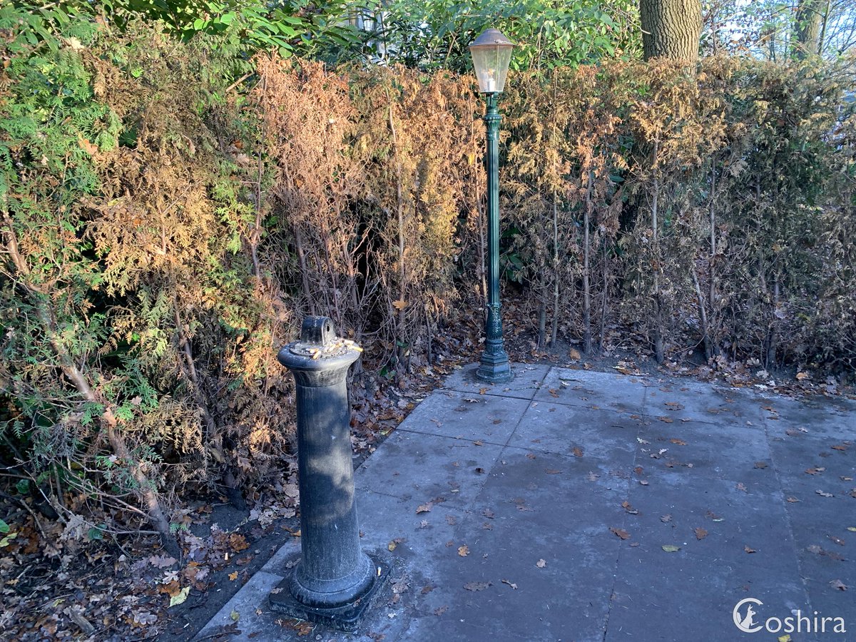 Coshira_'s tweet photo. Roken is niet goed voor de longen, maar zo te zien ook niet voor de heg. 🚬

#Efteling #Rookzone https://t.co/W2JUAl6AY9