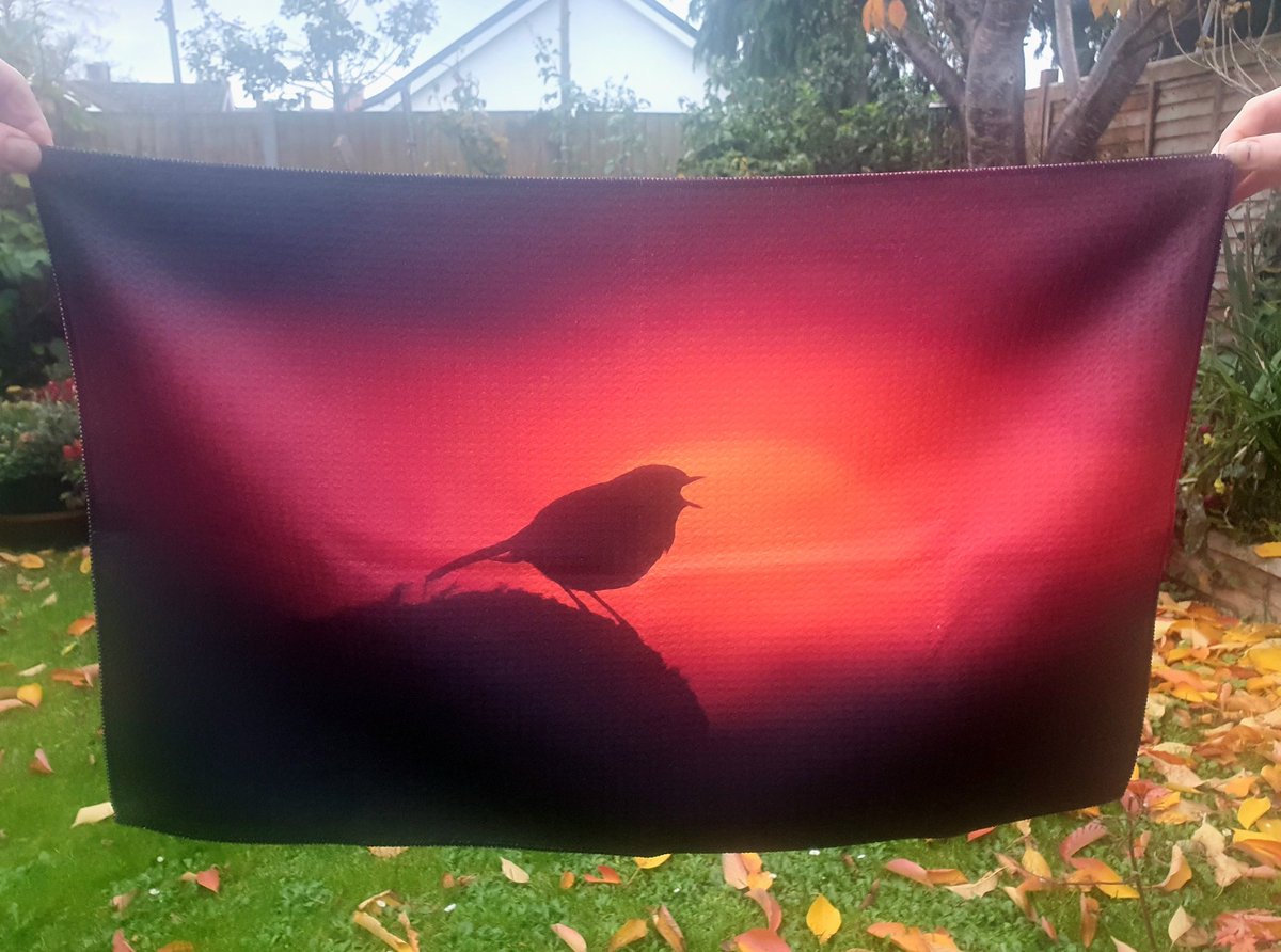 Here is my 'Robin singing to the setting sun' tea-towel. 😀🐦
  You can buy it here;
carlbovis.com/product-page/t… 😊❤️