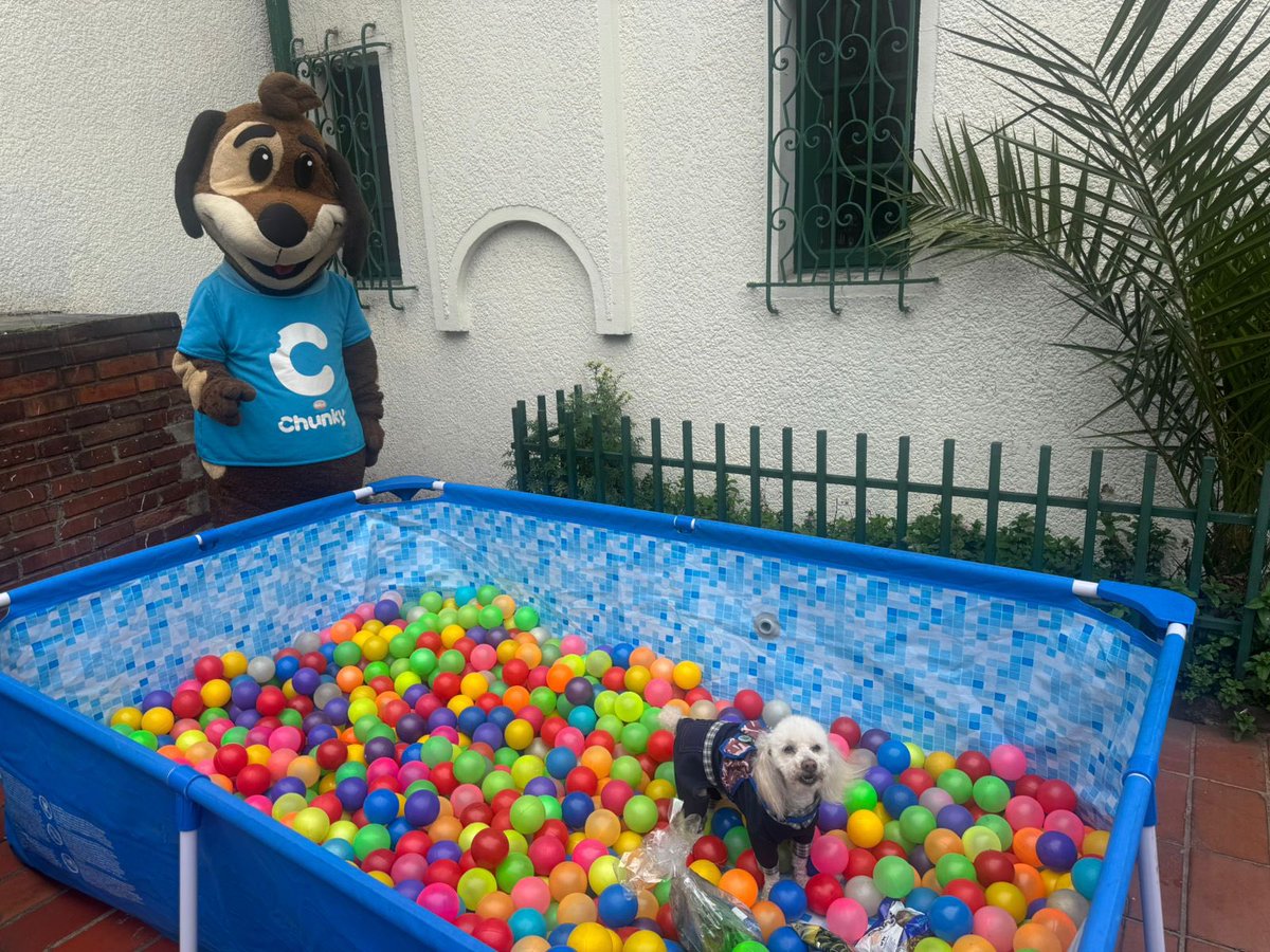 fonprecon's tweet photo. Con éxito se desarrolló la jornada de socialización programada para las mascotas de los afiliados al Fondo Educativo de Ahorro y Servicio Social de los Empleados del Congreso de la República, llevada a cabo en la sede de Teusaquillo del Fondo de Previsión Social del Congreso. https://t.co/J7zmx37Eet
