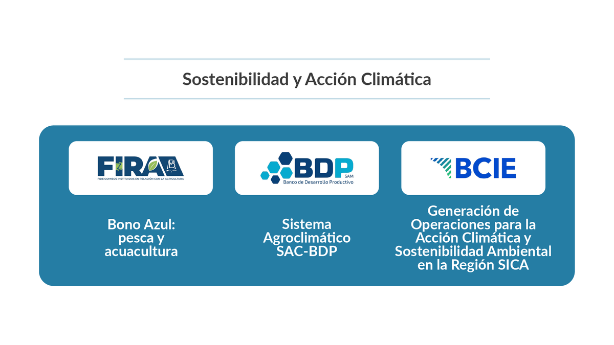 _ALIDE_'s tweet image. 📢 #WebinarALIDE | ¡Faltan 2 días! ⏳ Sé parte de nuestro webinar sobre innovaciones al servicio de la sostenibilidad 🌱. 
La #ComunidadDePráctica presentará iniciativas que impulsan buenas prácticas en #ALC 💡.
🗓 03/12 | ⏰ 10:00 (GMT-5)
👉 t.ly/vF3FS