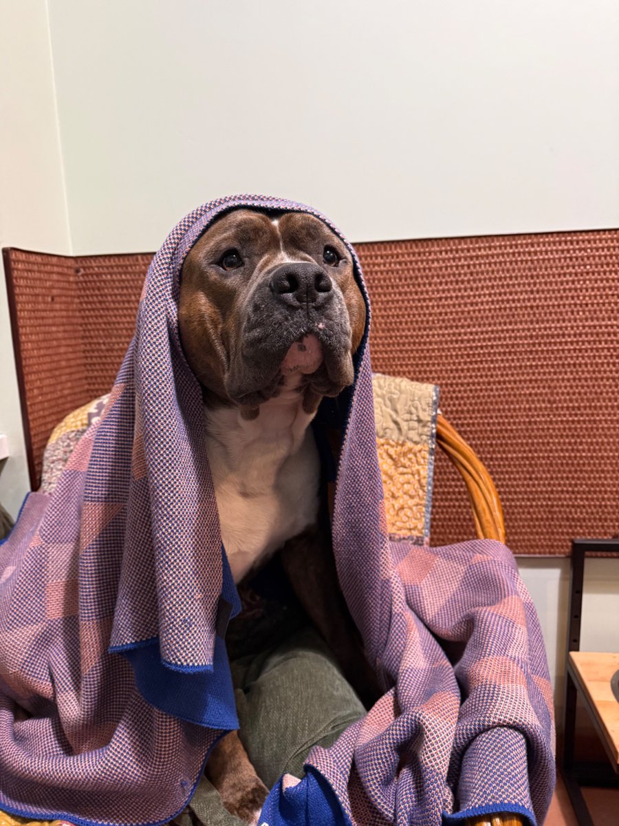 4x4_new_error's tweet image. Тяжке життя, заставляють митись