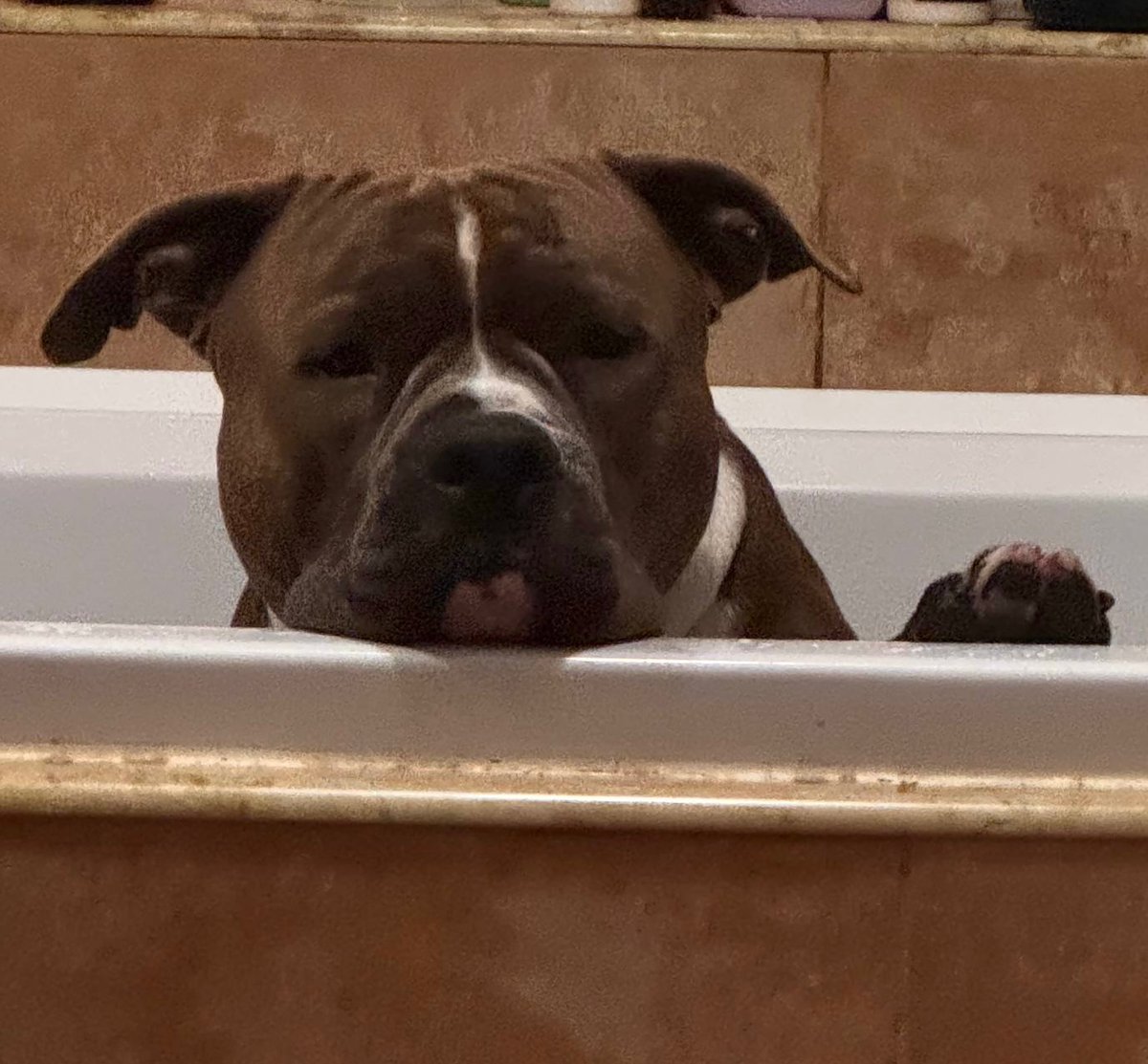 4x4_new_error's tweet image. Тяжке життя, заставляють митись