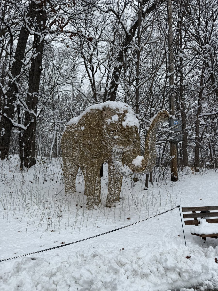 AdventureVon's tweet photo. @BungieLove 7777 the frozen elephant informs https://t.co/dDAHNKoBuf
