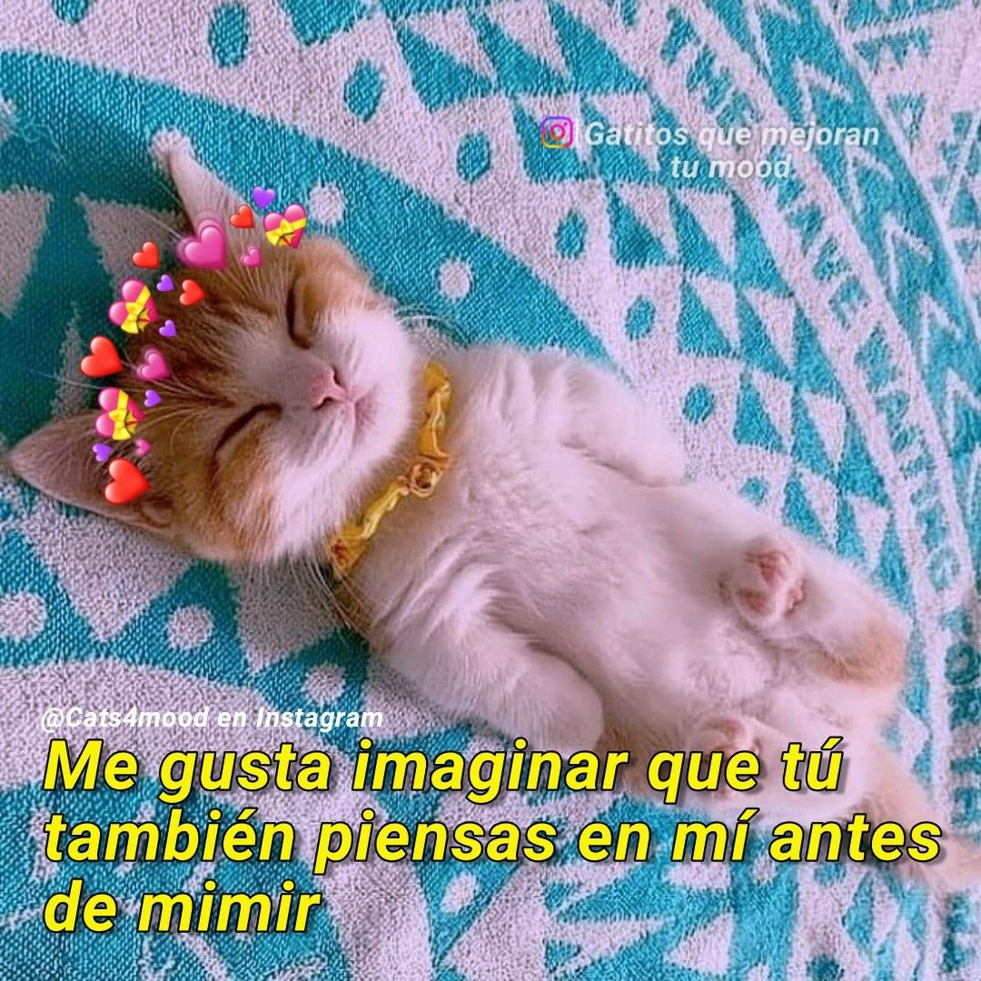 ¿Cómo sabias?

¿Cómo sabias que solo me junto contigo por interés?