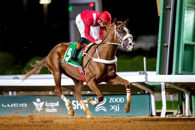 AlRajhi Stables tweet media