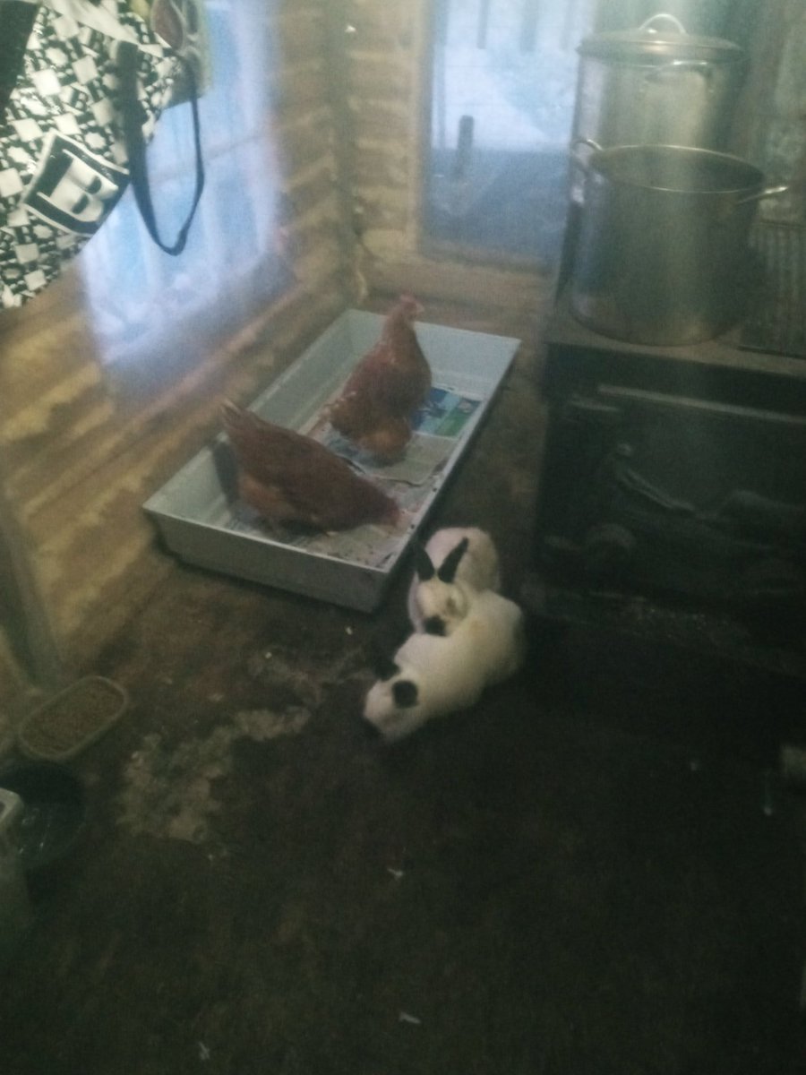 On descend a moins 15 cette nuit tout le ptit monde au chaud