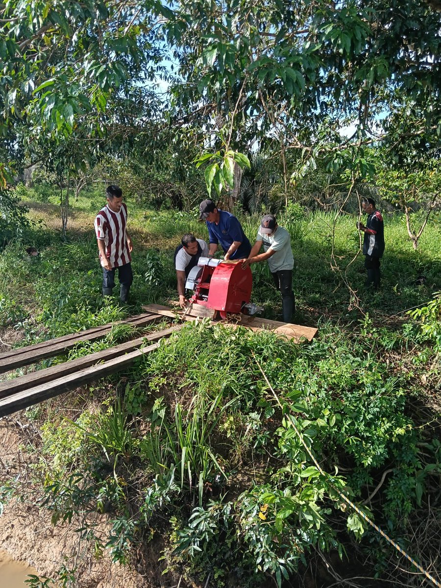 🌱🤝 A través del Batallón Fluvial de Infantería de Marina No. 30, en coordinación con la Secretaría de Agricultura y la Alcaldía Municipal de Puerto Leguízamo, realizó la entrega formal del proyecto productivo “Fortalecimiento de caña de azúcar a pequeños productores”. 🌾💼