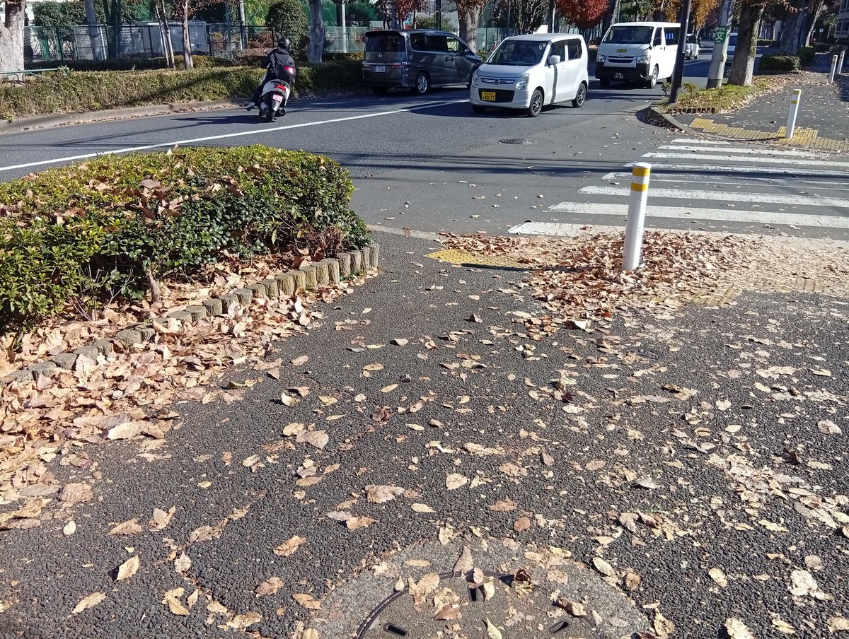 紅葉は綺麗ですが、 落ち葉の掃除が大変なんすよね、、 撮影所の前は