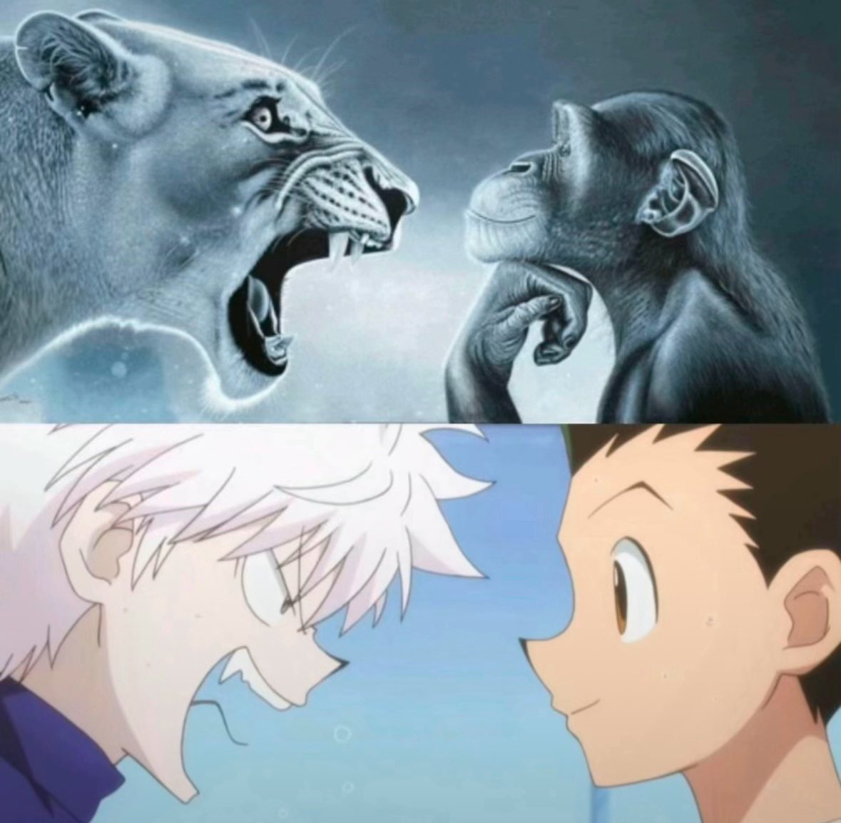 lily༺𐀔༻ tweet media