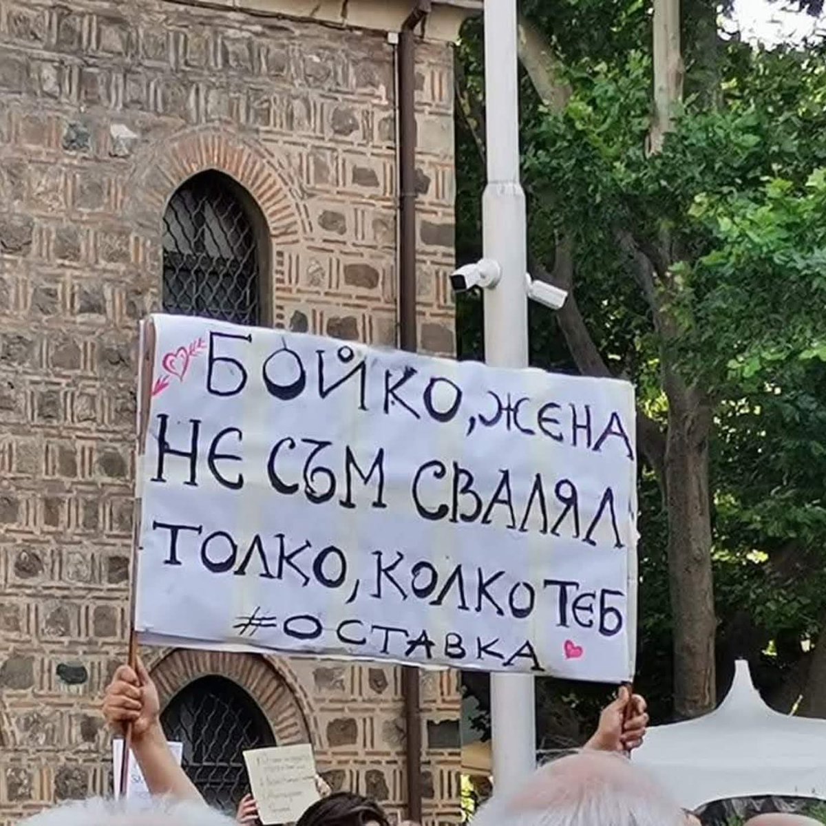 Cattleya tweet media