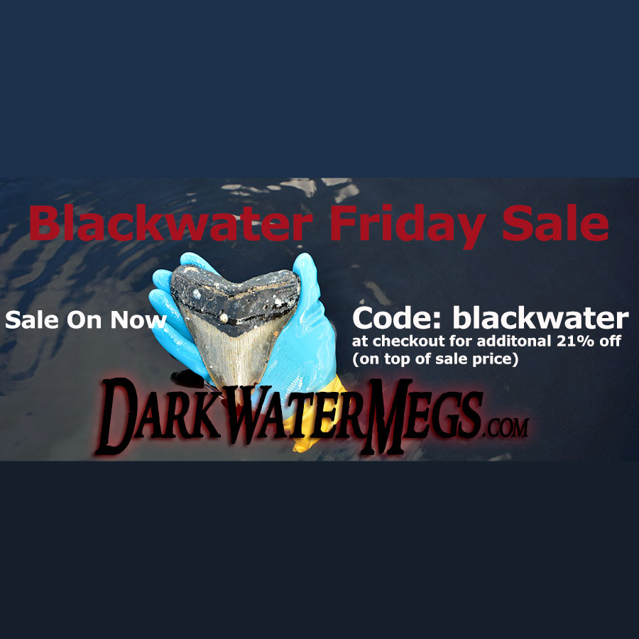 DarkWaterMegs's tweet image. Site restocke with some new megalodon teeth and other fossils, sale ends in a few hours.

Blackwater Friday Sale ending  at darkwatermegs.com

Sitewide sale with additional 21% off using code blackwater at checkout.

#megalodon #fossil #darkwatermegs #history #giftideas…