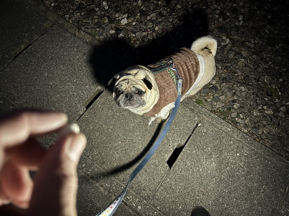 おはよう御座います🐶 今朝は4℃とちょっとマシ☀️ まだ週末遠い火曜日