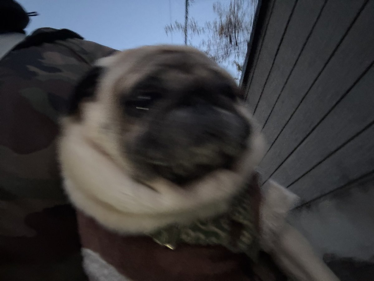 おはよう御座います🐶 今朝は4℃とちょっとマシ☀️ まだ週末遠い火曜日