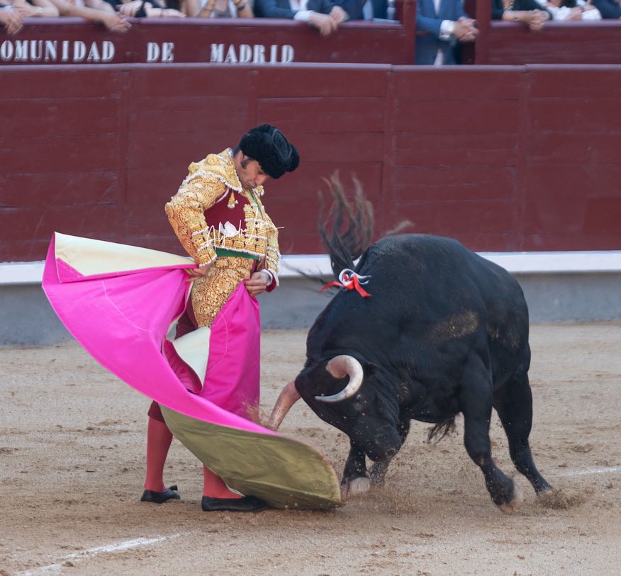 eltoreosecreto's tweet photo. LA MEDIA por Morante.
28/05/2025 Las Ventas. https://t.co/3yznLUzvzP