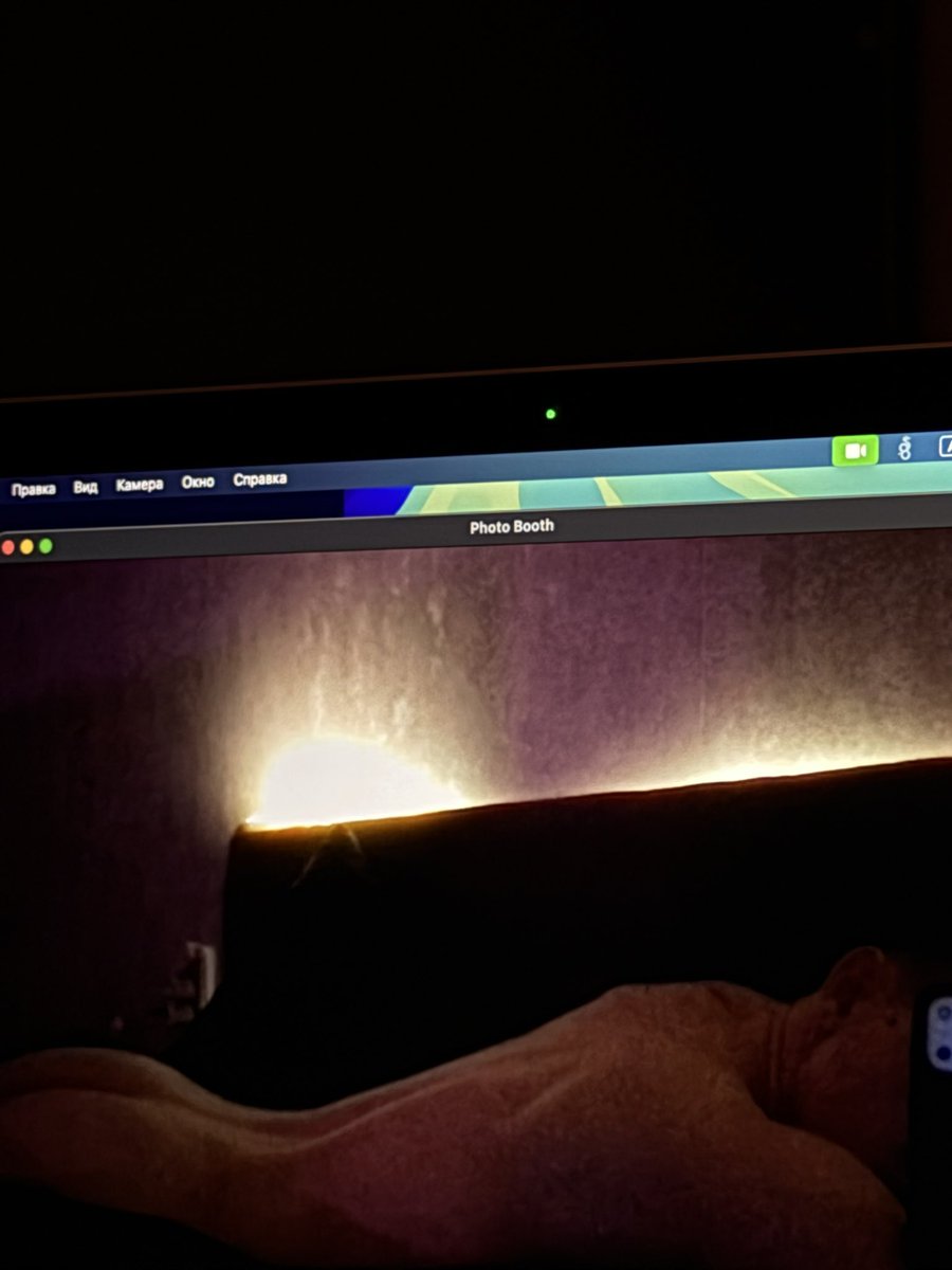 серёга tweet media