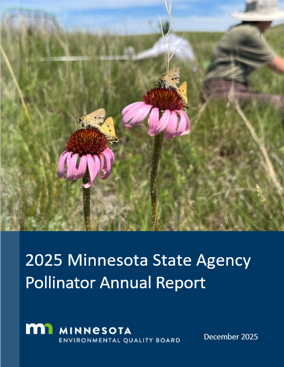 The 2025 Minnesota State Agency Pollinator Report is out! Learn about the actions we are taking to protect the pollinators that call our state their home. Visit our website to download the report and learn more: eqb.state.mn.us/programs/polli…