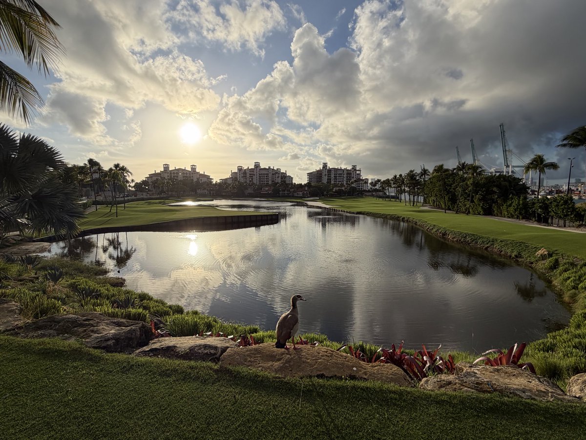 bubbaturfguy's tweet photo. 5 days to opening… #suplife #golfcoursemaintenance #golf
#fisherisland https://t.co/OdrggBmexr