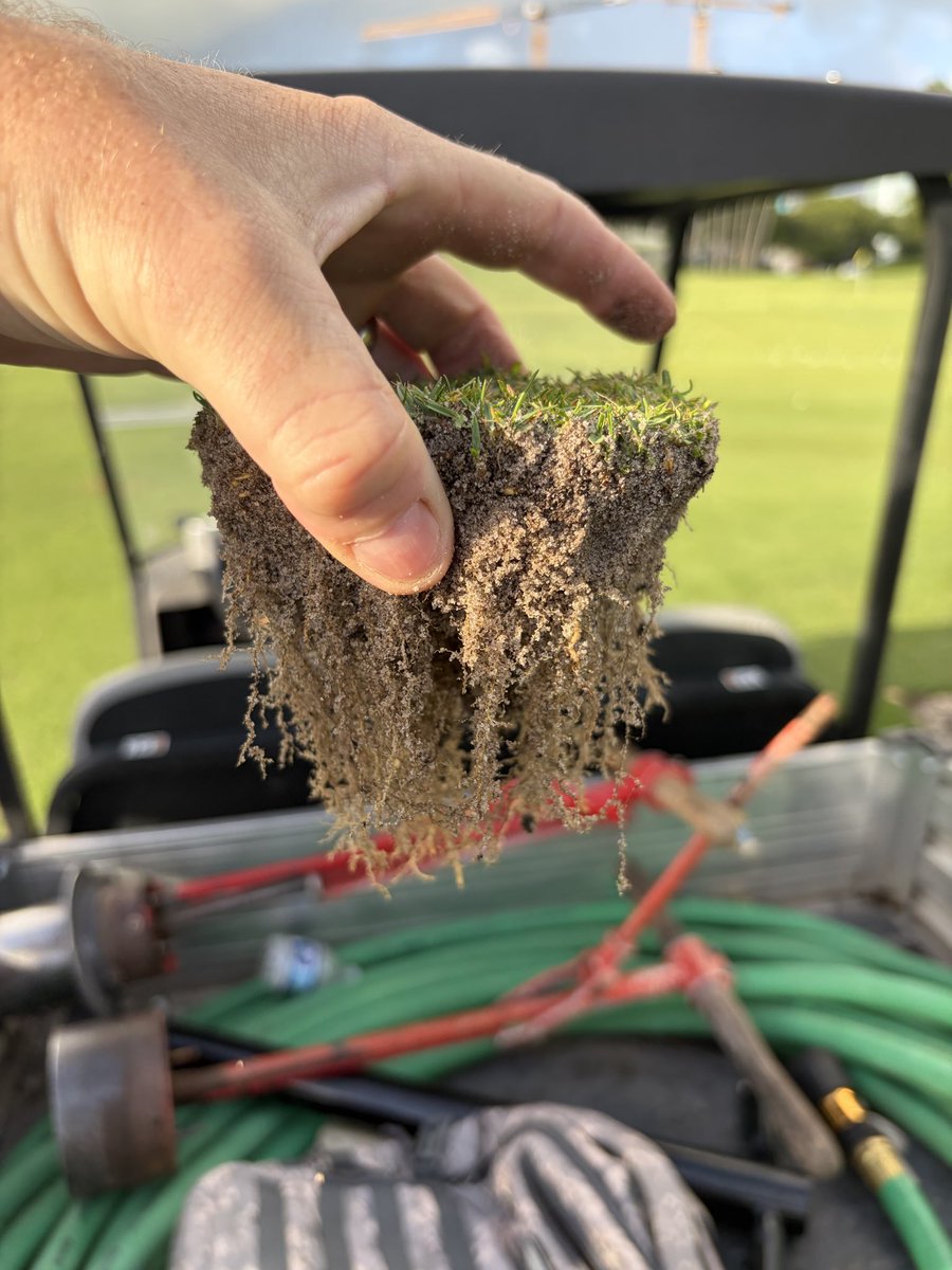 bubbaturfguy's tweet photo. 5 days to opening… #suplife #golfcoursemaintenance #golf
#fisherisland https://t.co/OdrggBmexr
