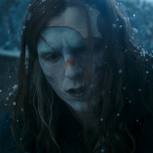 vnmized's tweet image. creature of the day