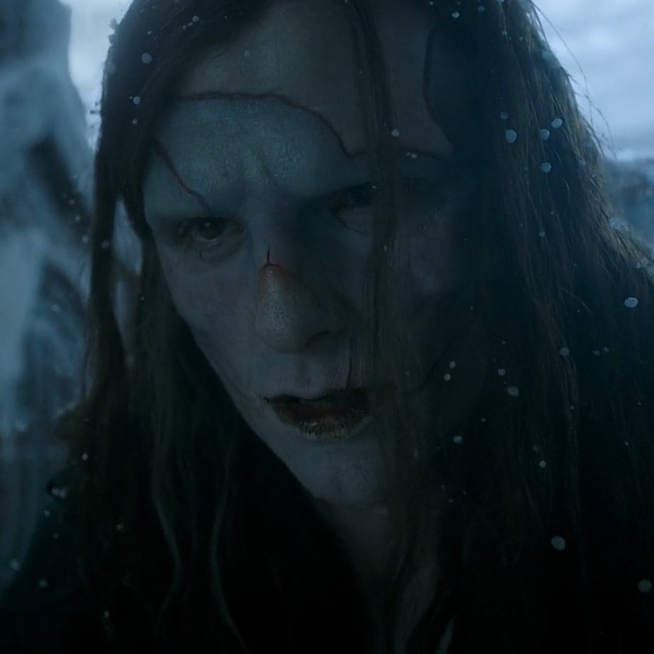 vnmized's tweet image. creature of the day