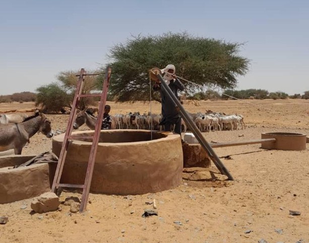 ⴰⵔⵔⴰⵎⴰⵜ The Ărramăt Project tweet media