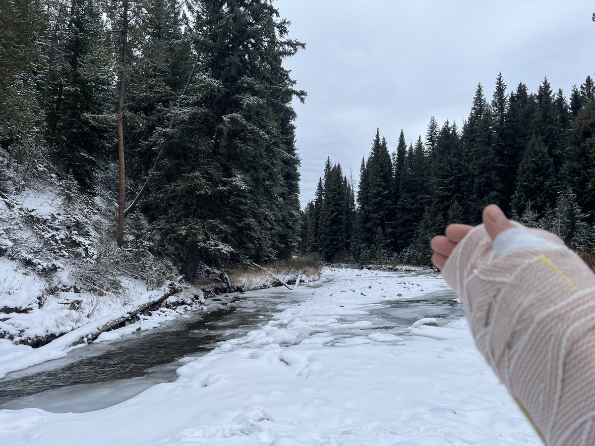 THE Pontiac Aztek University tweet media