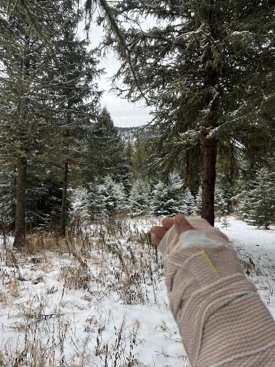 THE Pontiac Aztek University tweet media