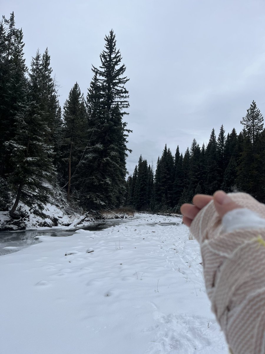 THE Pontiac Aztek University tweet media