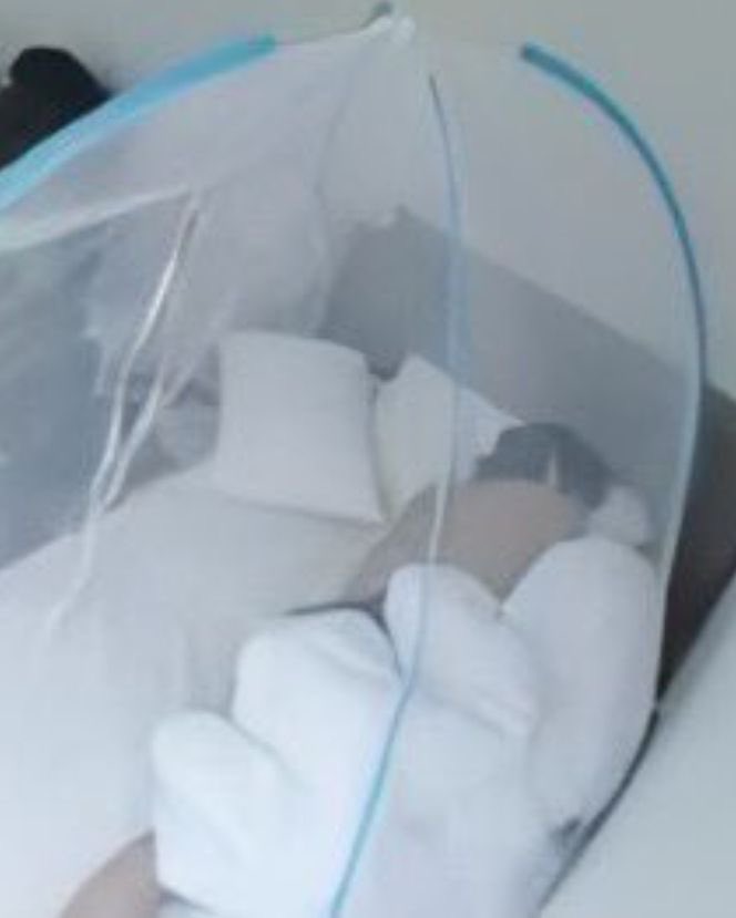 1995SOULMATES's tweet image. impossible for him to achieve these very important positions when confined by sheets so this checks out