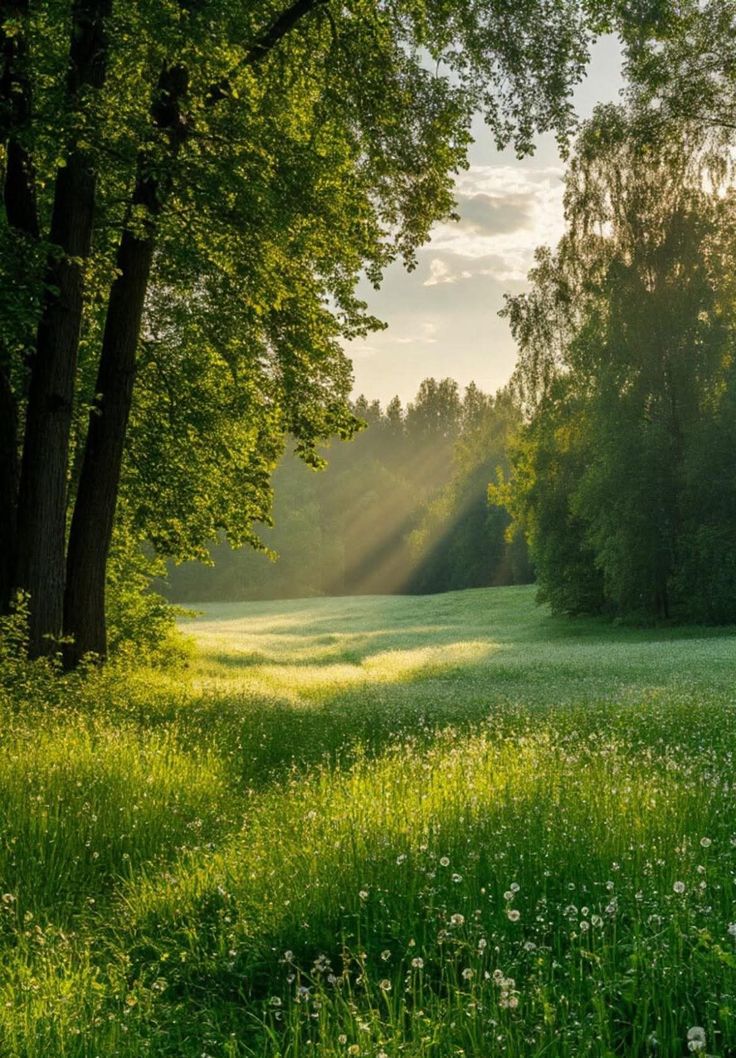 greendreaams's tweet image. 