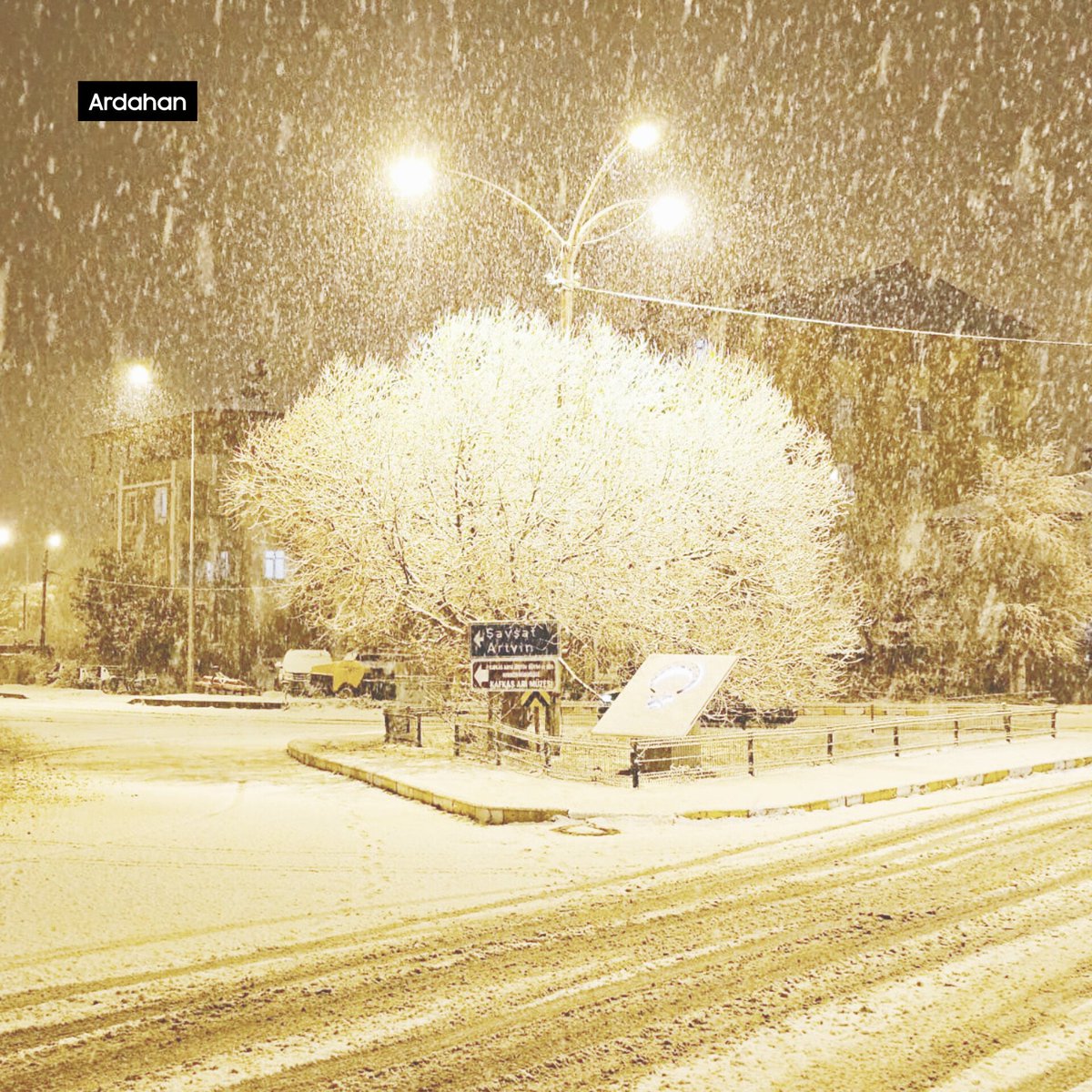 Hava Forum tweet media