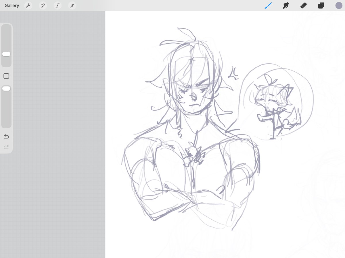 For the record this is just the stsrter size, they need to be larger