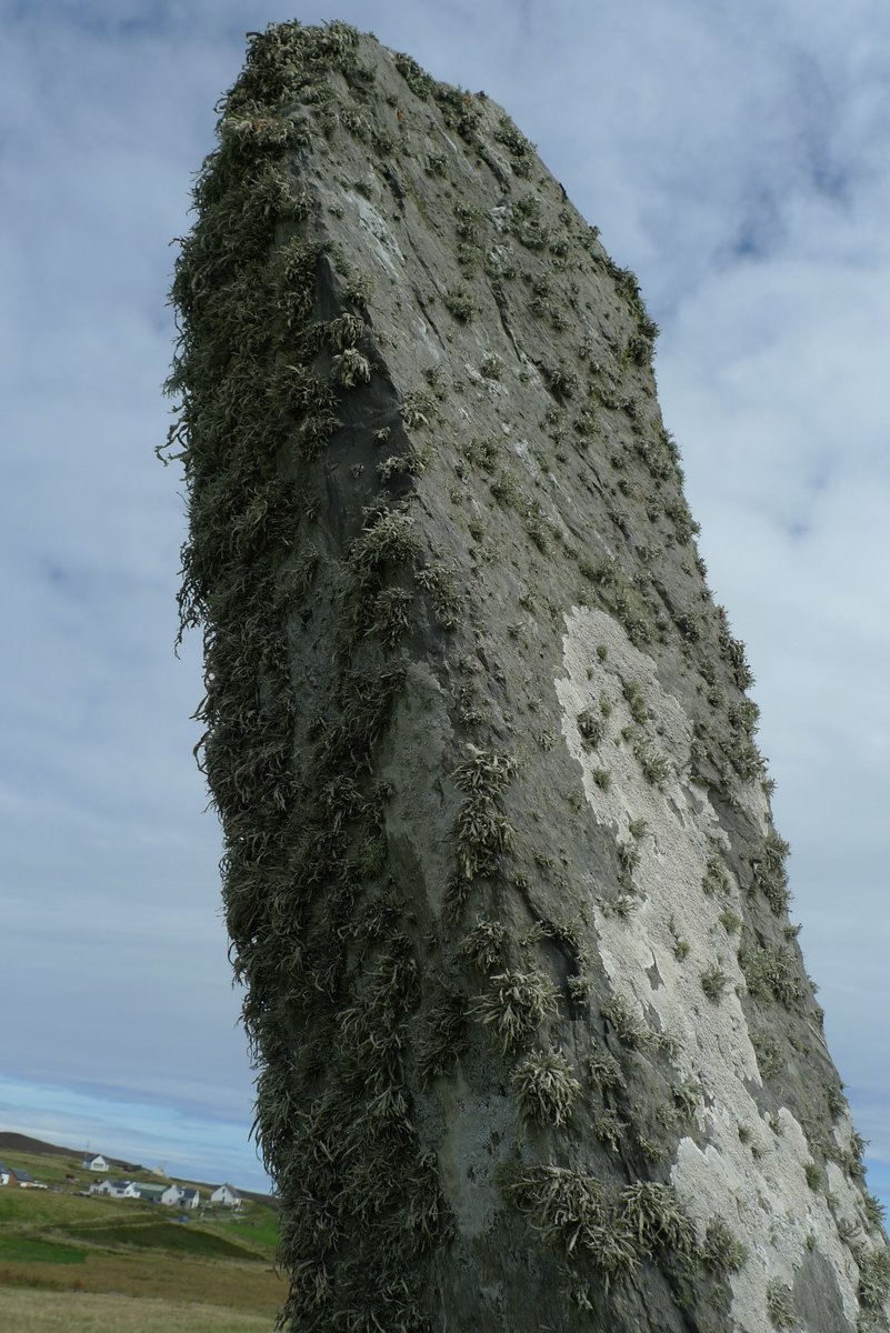 The Cycling Scot tweet media