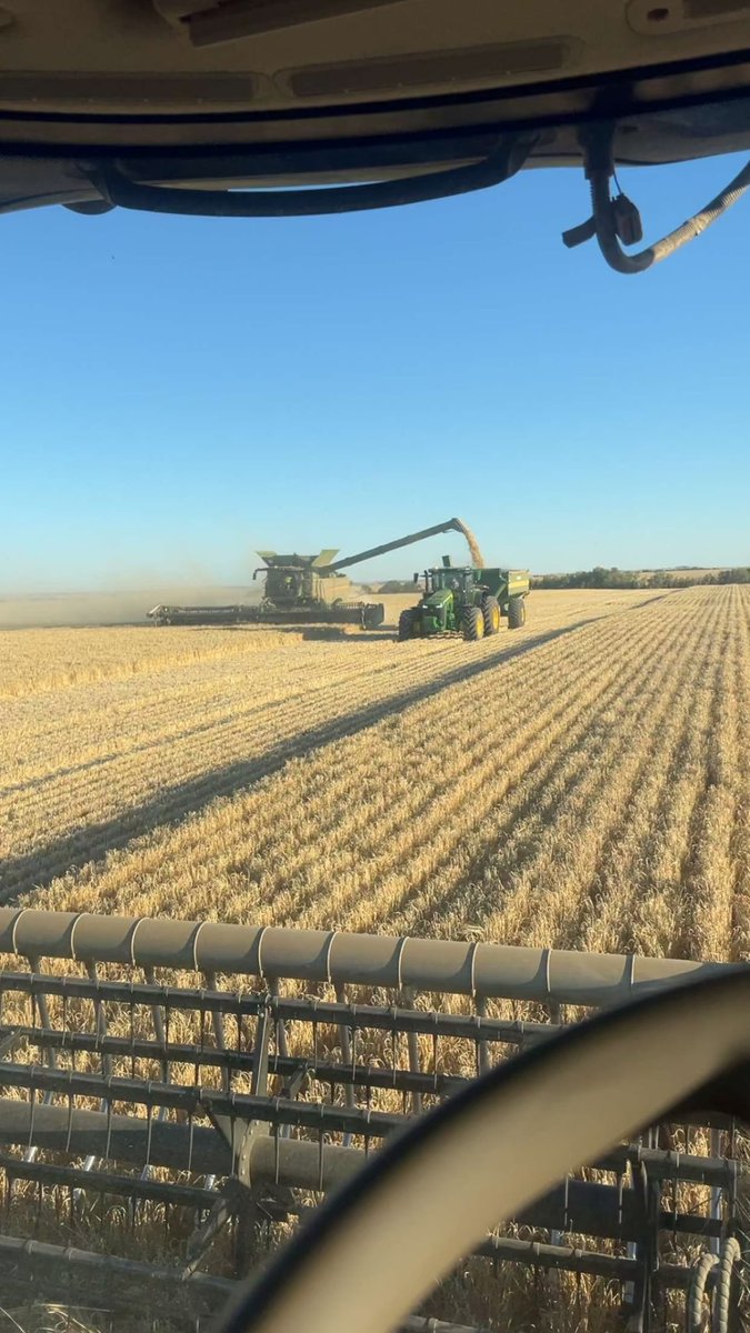 Trevor Syme tweet media