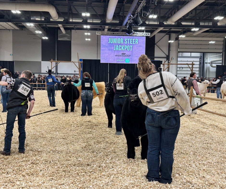 mazergroup's tweet image. We had a great time at the Canadian Western Agribition in Regina, SK last week! Congrats to everyone who took part and we look forward to seeing you next year!🐮
.
.
#learnbydoing #teachthemyoung #agribition #CWA25 #regina #saskatchewan #mazergroup