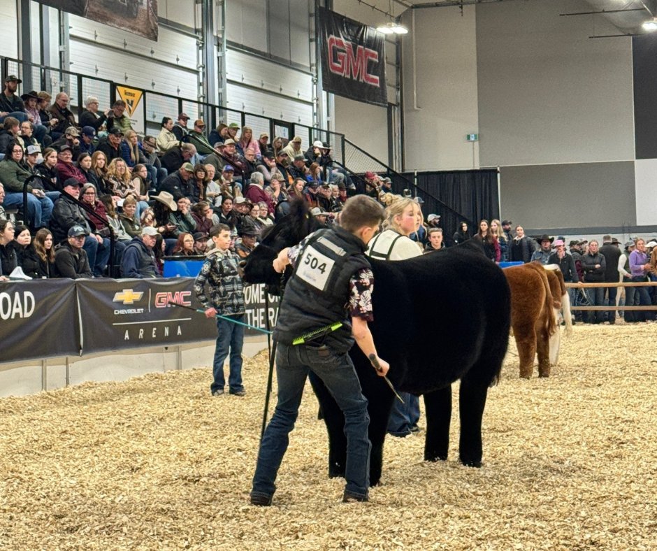 mazergroup's tweet image. We had a great time at the Canadian Western Agribition in Regina, SK last week! Congrats to everyone who took part and we look forward to seeing you next year!🐮
.
.
#learnbydoing #teachthemyoung #agribition #CWA25 #regina #saskatchewan #mazergroup