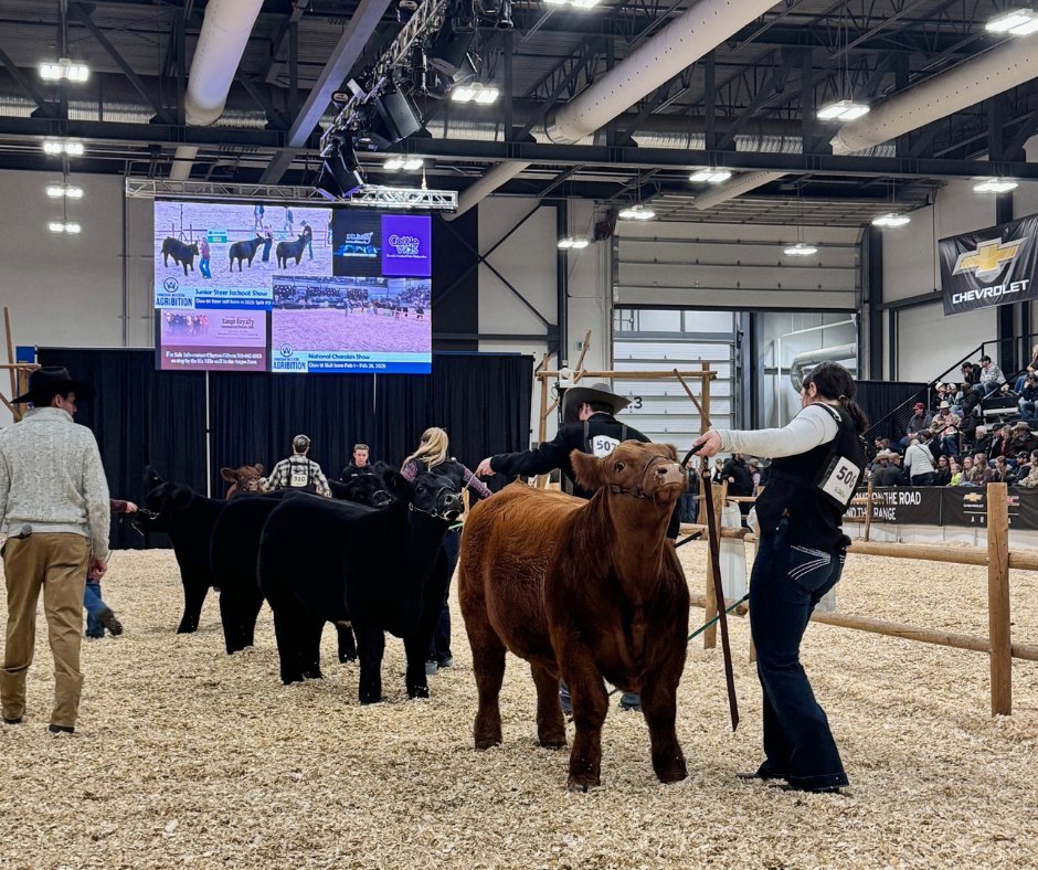 mazergroup's tweet image. We had a great time at the Canadian Western Agribition in Regina, SK last week! Congrats to everyone who took part and we look forward to seeing you next year!🐮
.
.
#learnbydoing #teachthemyoung #agribition #CWA25 #regina #saskatchewan #mazergroup