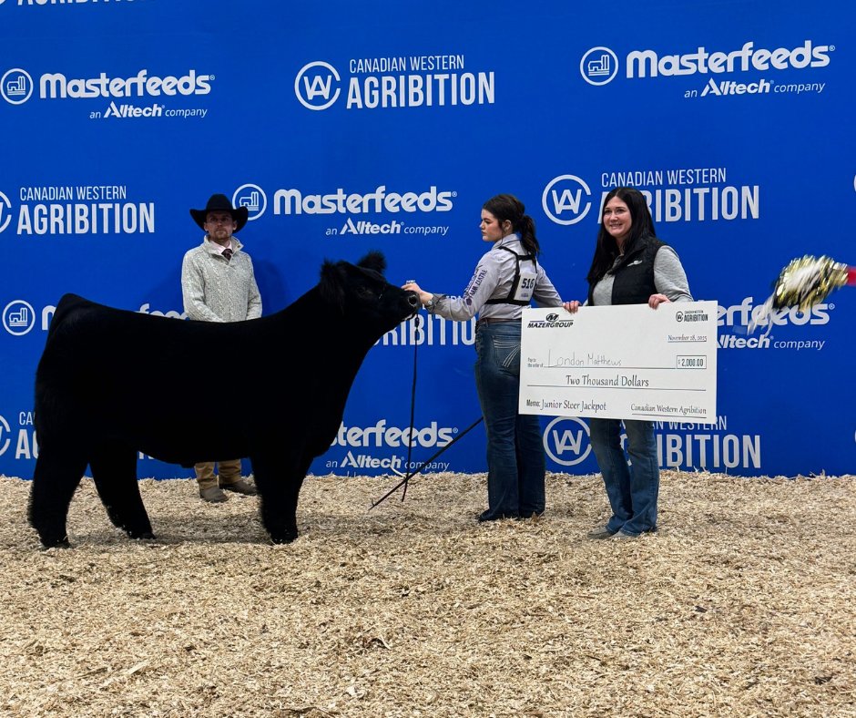 mazergroup's tweet image. We had a great time at the Canadian Western Agribition in Regina, SK last week! Congrats to everyone who took part and we look forward to seeing you next year!🐮
.
.
#learnbydoing #teachthemyoung #agribition #CWA25 #regina #saskatchewan #mazergroup