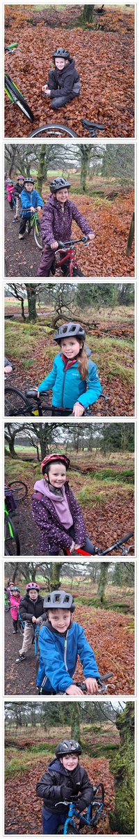 StAndrewsCumb's tweet image. 