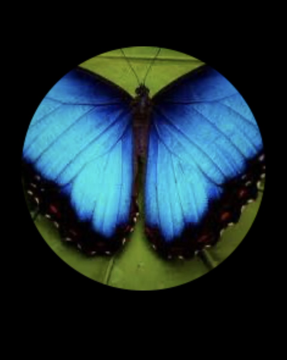 I find this interesting.