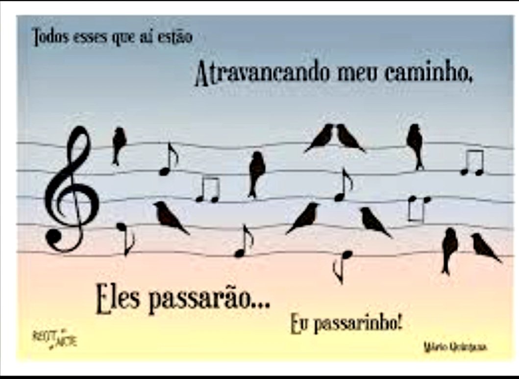 Dalva Maria Nê Sant'Anna (Estrela Maria) tweet media