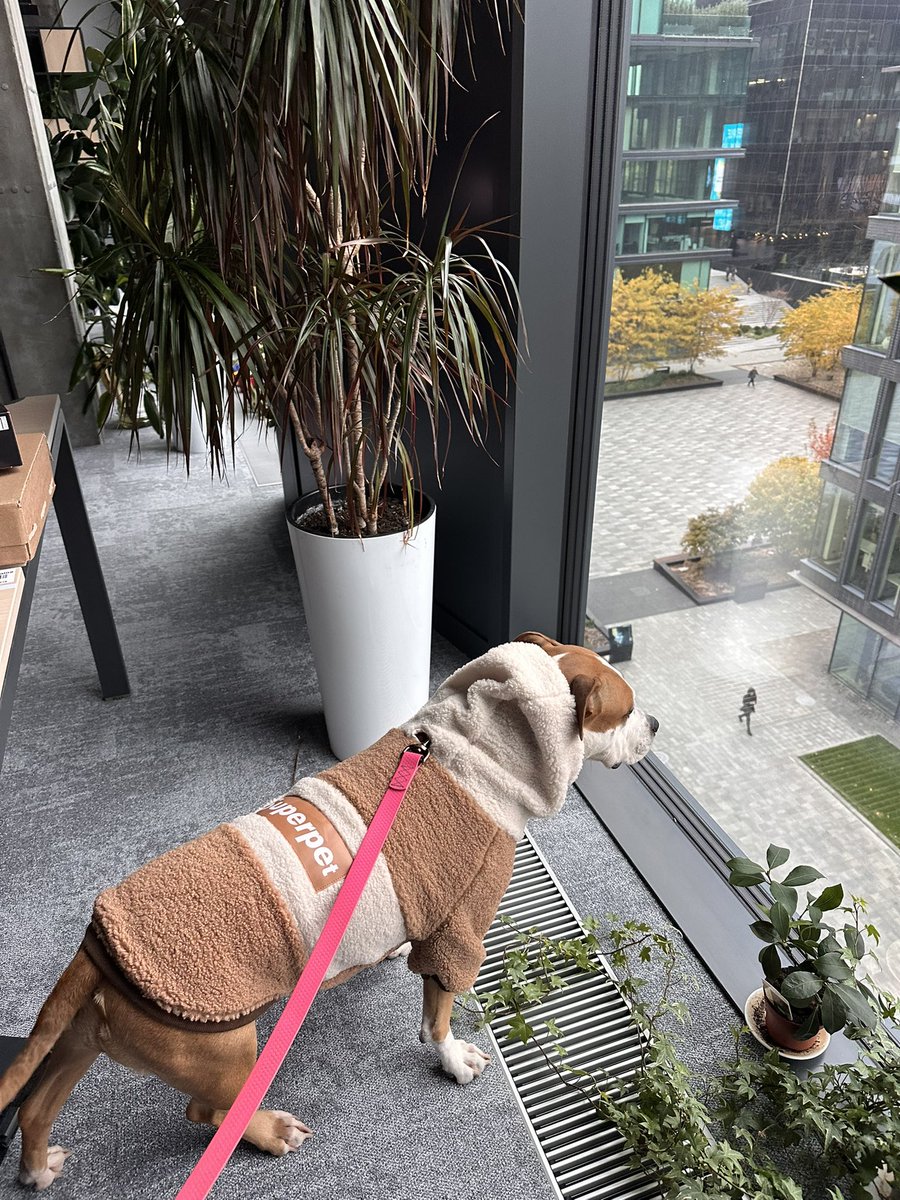 неочікувано приємно tweet media