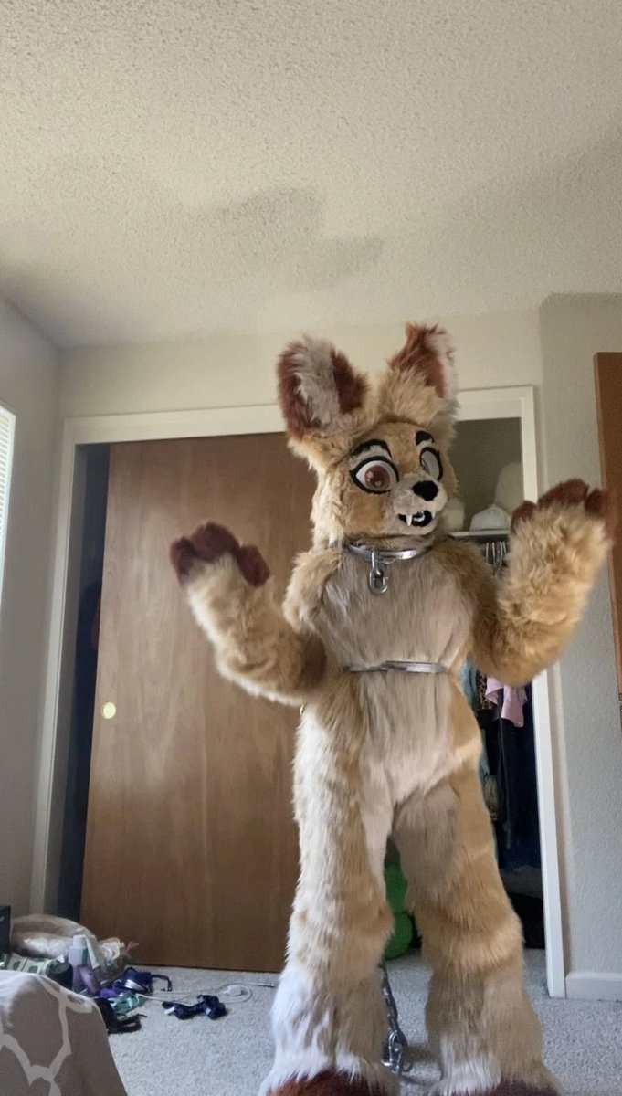 Nala || Commissions Open tweet media