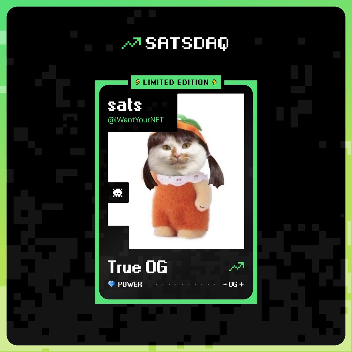 Dandelions tweet media