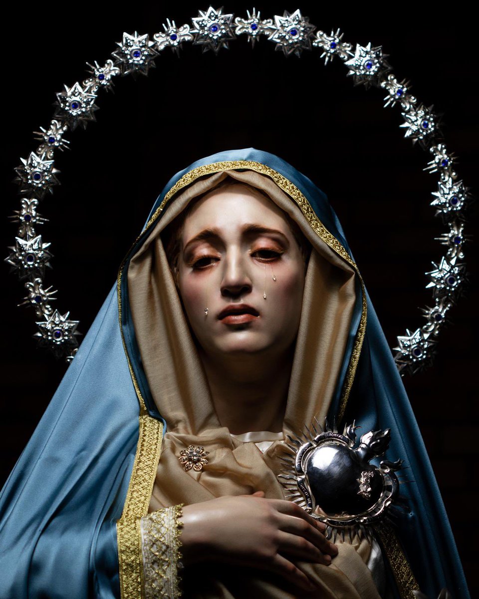 Nuestra Purísima Madre del Buen Camino ya se encuentra ataviada para la solemnidad de la Inmaculada Concepción.
Que ella nos acompañe en estos días de celebración.

📸: <a href="/EAeterna/">LUX ÆTERNA</a> 

#HaciendoCamino
#CofradíasMLG