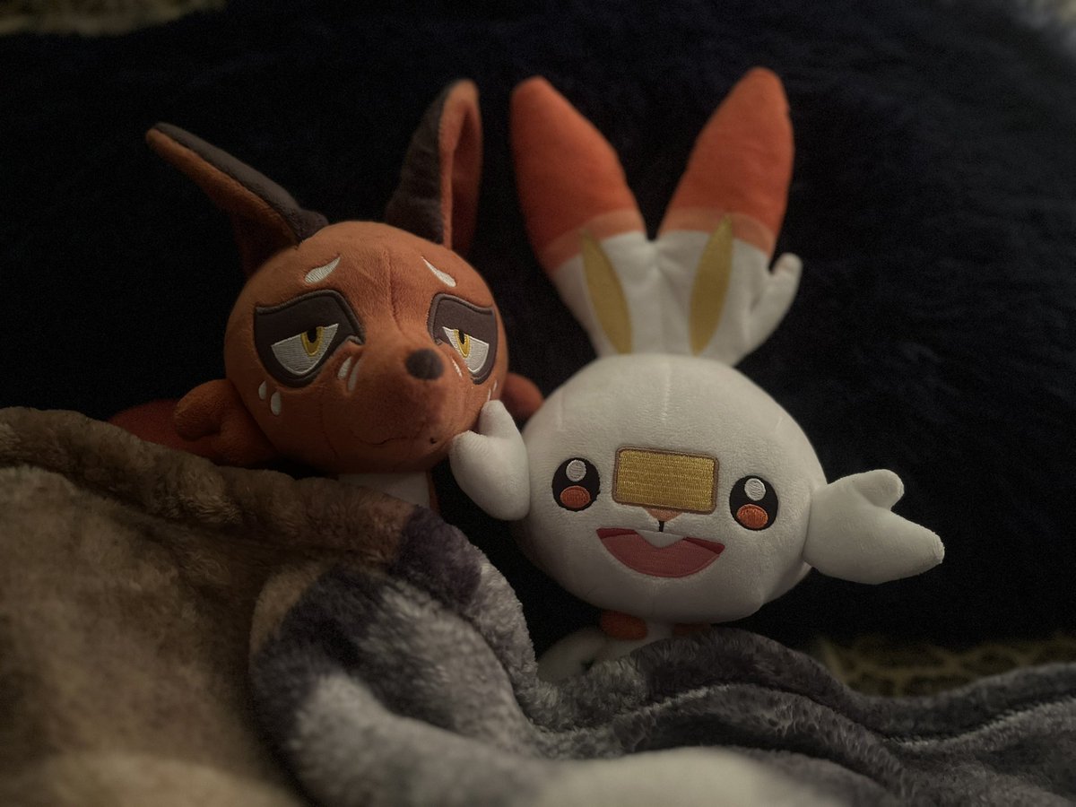 ToyboxFriends's tweet image. 🦊🐇
Tucked in for the night— it’s cold! 
#pokeplush #plush #plushie #scorbunny #nickit