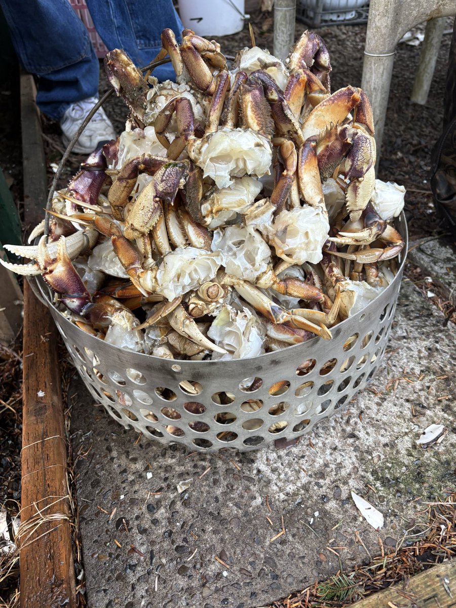 I don’t even want to look at my score after the <a href="/trylimitless/">Limitless</a> point update 😅

Took advantage of this rare winter sunshine and got some crabbin in this last weekend.🦀☀️

Time to get back on the grind though.. bot needs a few upgrades and I need to help my teams volume! 🫡