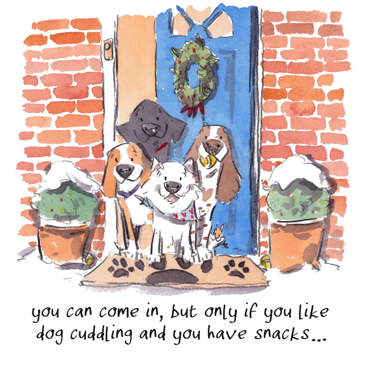 Good night, lovely people and lovely dogs.
I hope that you've had a fab start to December.
The team have a warm welcome for you...
Sleep well and sweet dreams.
I hope that you have a really lovely day tomorrow. 
#hoorayfordogs #beagle #labrador #westie #springer #redsquirrel