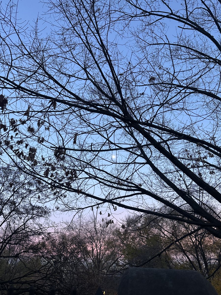 ECAPHD's tweet image. #NYC #Morningside #December2025